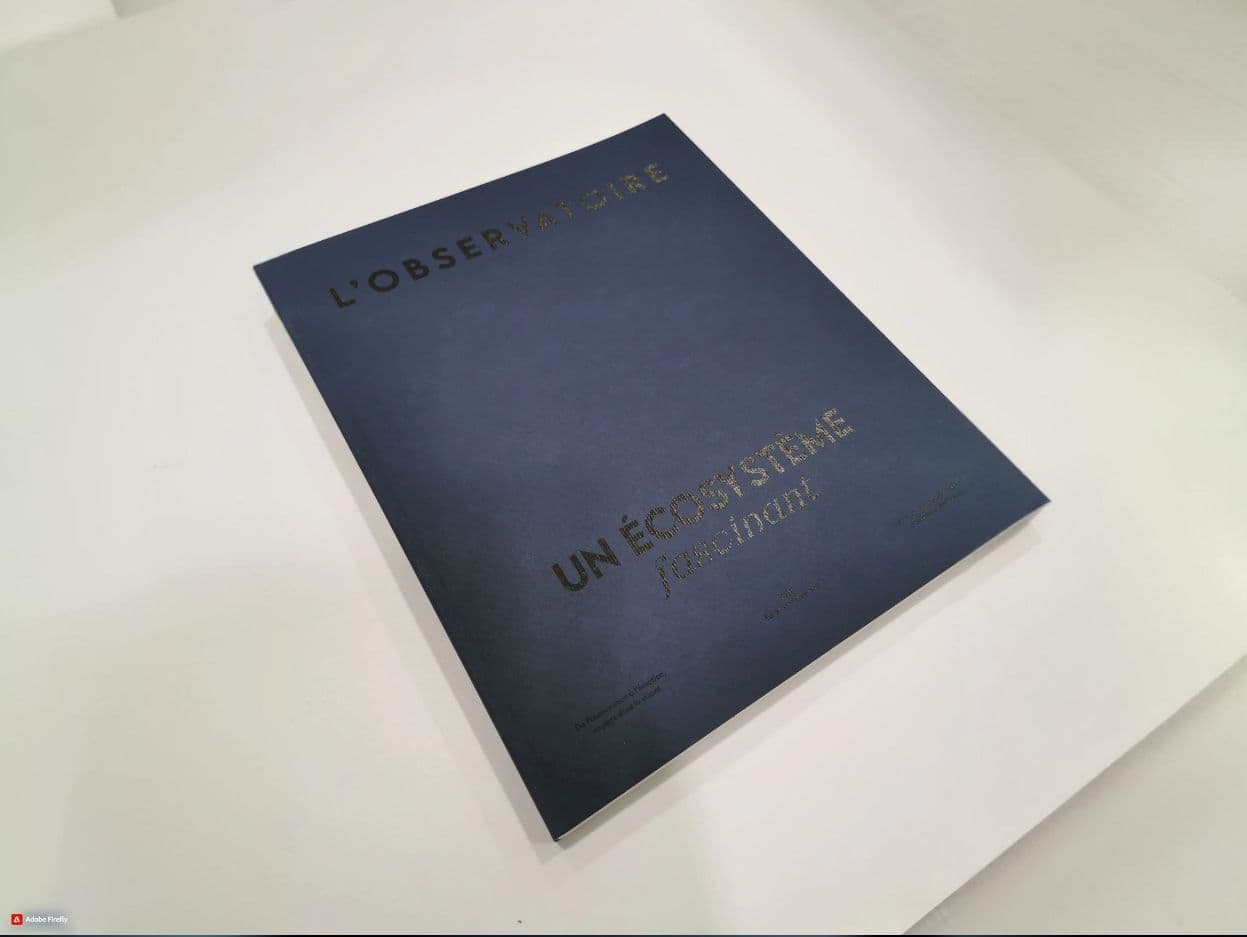 <p><strong>Mémoire étudiant </strong></p>image